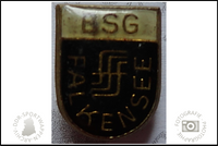 BSG FFF Falkensee Pin