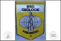 BSG Geologie Freiberg Wimpel