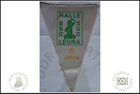 BSG Leuna Halle S&uuml;d Wimpel Jubil&auml;um 5 Jahre_1