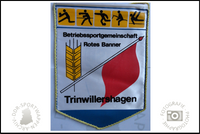 BSG Rotes Banner Trinwillershagen Wimpel Sektionen