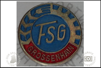 FSG Grossenhain Pin