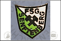 FSG Senftenberg Pin