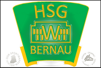 HSG Wissenschaft Bernau Pin Variante