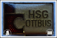 HSG Wissenschaft Cottbus Pin
