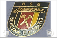 HSG Wissenschaft Bergakademie Freiberg Pin