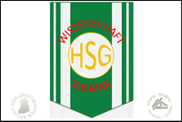 HSG Wissenschaft Wismar Wimpel_1
