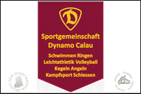 SG Dynamo Calau Wimpel Sektionen