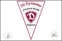 SG Dynamo Hagenow Wimpel