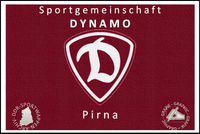 SG Dynamo Pirna Fahne alt