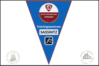 SG Dynamo Sassnitz Wimpel Sektion Volleyball