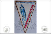 SG Dynamo Zinnwald Rennschlitten Wimpel