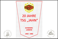 TSG Jahn Schwerin Lankow Wimpel Jubil&auml;um 20 Jahre
